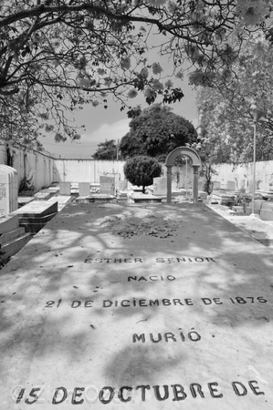 "Headstone", Barranquilla, 2011