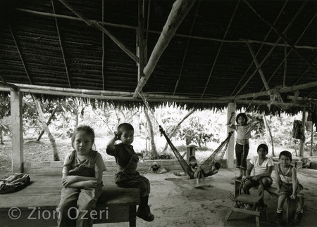 "Backyard", Iquitos, Peru