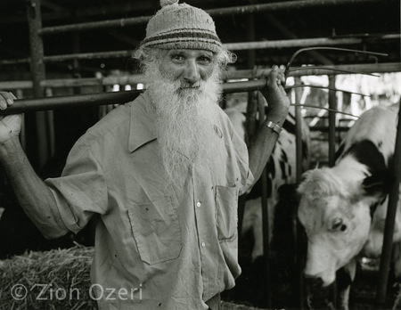 "Dairy Farm", Moshav Tnuvot