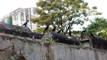 The Jewish Cemetery, Yangon, Myanmar