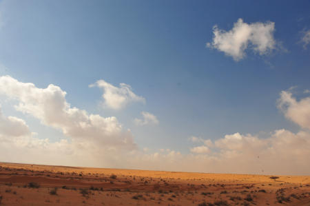 Landscape, Negev.