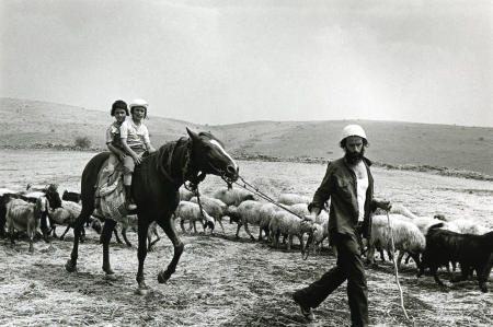 Shepherd, Kfar Zetim. 